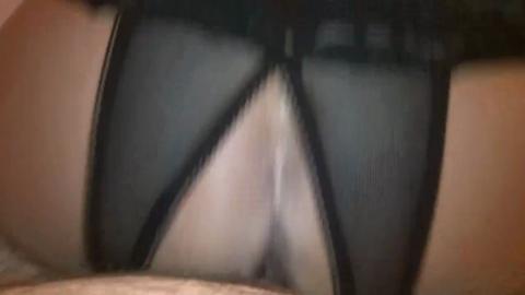 8494
